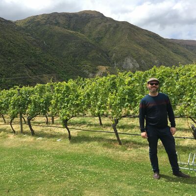 Austrian Grape Varieties