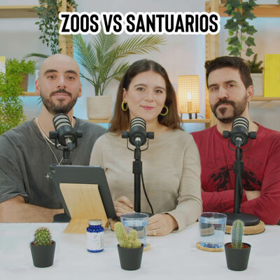 Zoos vs santuarios