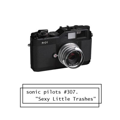 #307. 美丽小废物