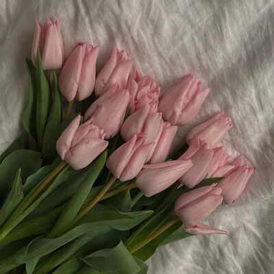 #79 Lời chia tay dễ nói thế sao?