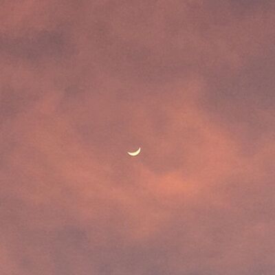 Eps 1: Resolusi Random 2020