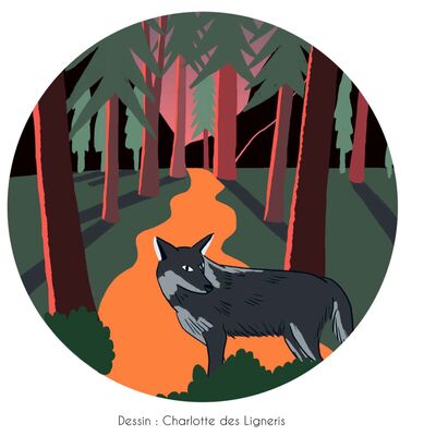 Cher loup