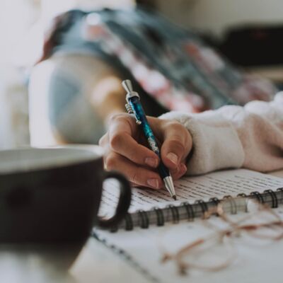 Julius Turner Award for Best Thesis