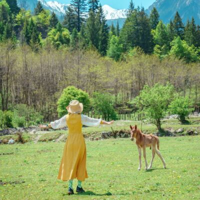 105.川西-甘南，闯入宫崎骏的笔下