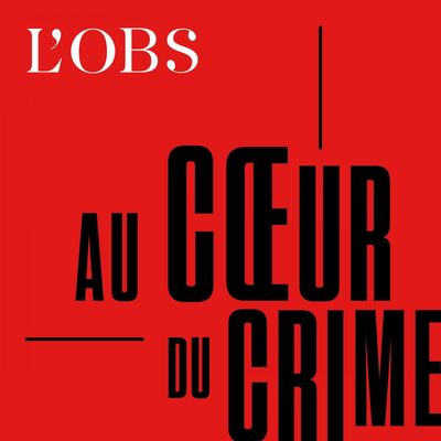 L’affaire Pierre Bérégovoy