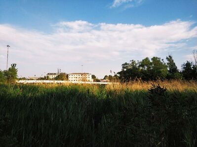我们离细腻的传统中国精神世界太远了