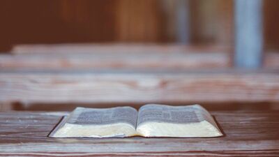 Calvinists Believe Every Verse