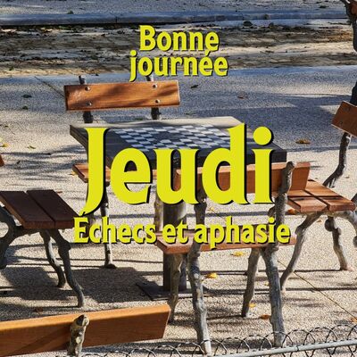 S03E04 - Jeudi : Échecs et aphasie