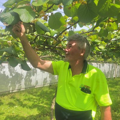 Snapshot special - Grower Mike Montgomery talks about managing Psa 3 November 2021