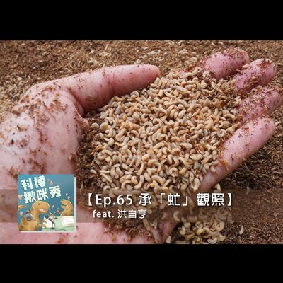 EP.65 承「虻」觀照 feat. 洪自亨 aka 年輕有為創業家