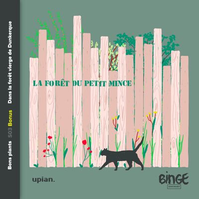 Bonus | Dans la forêt vierge de Dunkerque