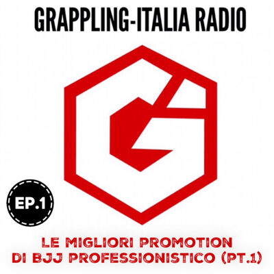 Ep.1 : Le migliori promotion di BJJ professionistico (pt.1)
