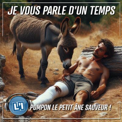 SAUVÉ PAR SON ÂNE !