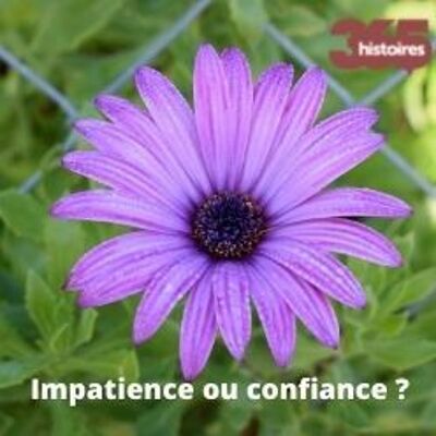 Impatience ou confiance ?