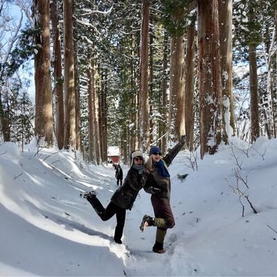 vol.43 岁末旅行：在东京让味蕾雀跃，去长野户隐神社感受时间