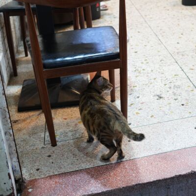 80. 简单来讲现在餐饮生意不好了，那还有什么能做的？