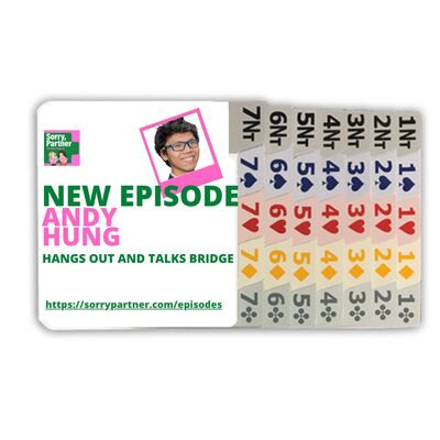 Andy Hung Hangs Out and Talks Bridge