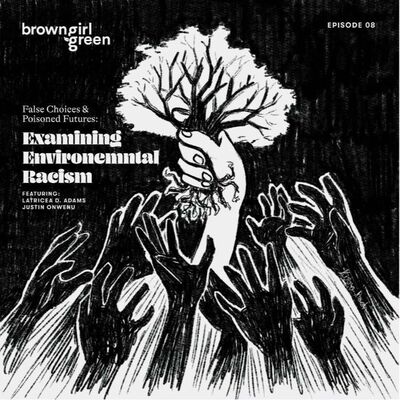 False Choices & Poisoned Futures: Examining Environmental Racism