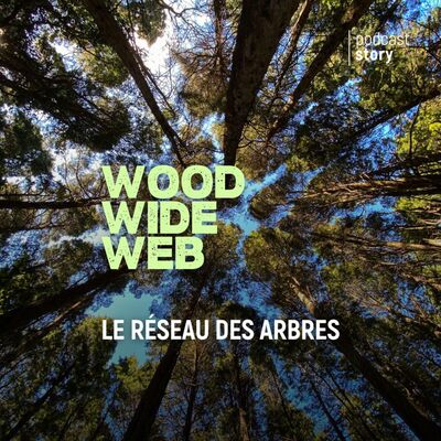 Wood wide web