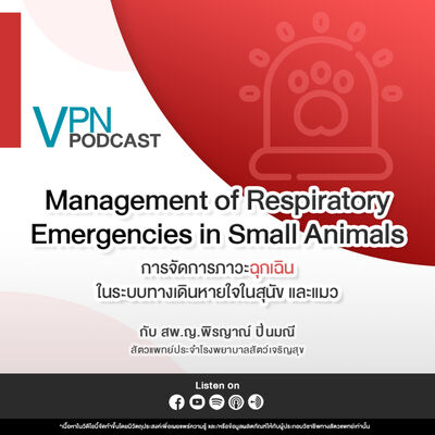 VPN Podcast EP.58 - การจัดการภาวะฉุกเฉินในระบบทางเดินหายใจในสุนัข และแมว
