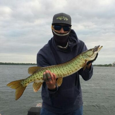 Episode 9 - My first musky on the fly and my new PB!