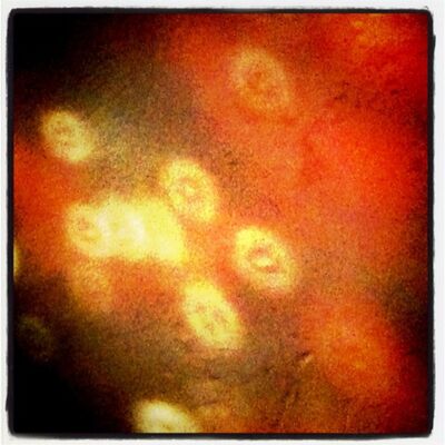 Music for Crystal Spheres