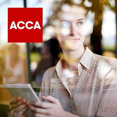 Exam reflections: Sustainability