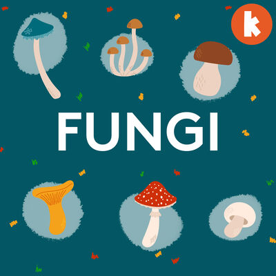 Fungi