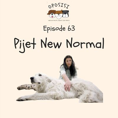 EPS 63 - PIJET NEW NORMAL