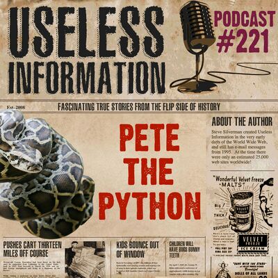 Pete the Python - UI Podcast #221