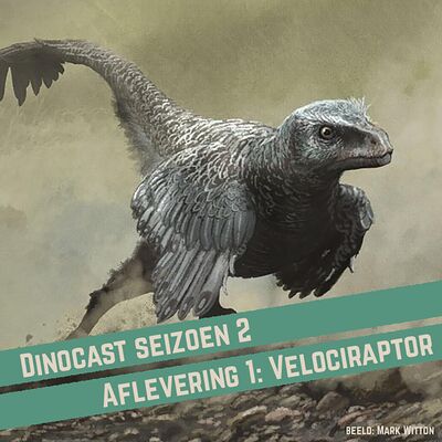 Velociraptor - van dodelijke jager tot filmster