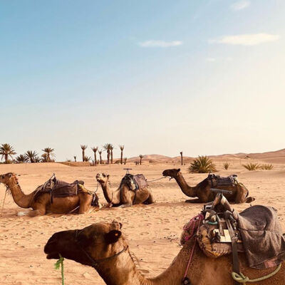 Lettera S... Sahara!