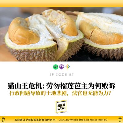 87 勞勿榴蓮芭主爲何敗訴？行政問題導致的土地悲劇，連法官也無能爲力？