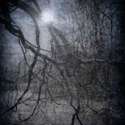 我与薛老太太的故事1