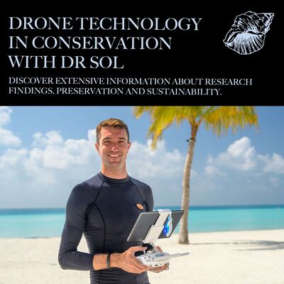 Drone technology in conservation with Dr Sol