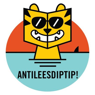 ANTILEESDIPTIP #3 Constança (12) tipt De zomer die alles was