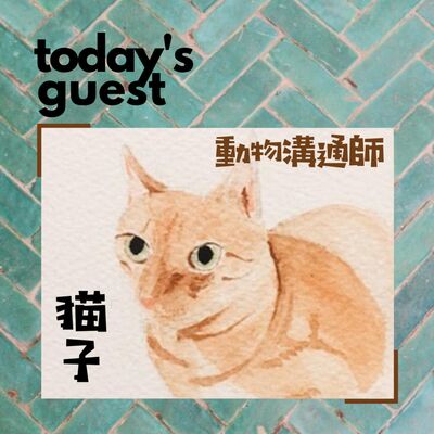 Ep.2 來聊聊動物溝通