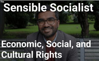 Economic, Social, and Cultural Rights with Thamil Ananthavinayagan (#80)