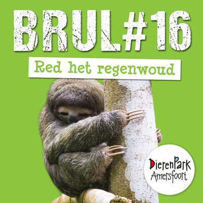Red het regenwoud: het huis van de luiaard | BRUL #16