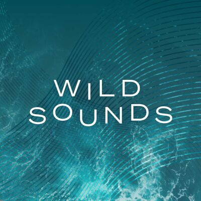 Wild Sounds: The new podcast feed for nature