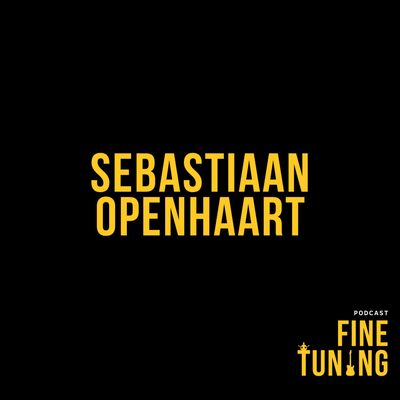 Sebastiaan Openhaart: Een stappenplan naar roem