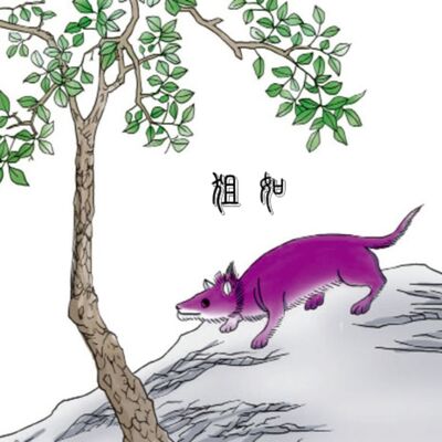 5-11-④ 中山经：虎首山 婴矦山 大孰山 卑山 倚帝山 鲵山 雅山 宣山 衡山 丰山