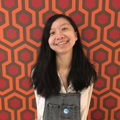  61. 数据可视化的力量（Uber 工程师消极姐 - 下） 