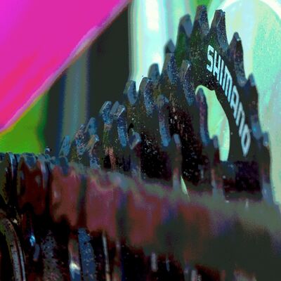 Episode 13: Shifting Gears