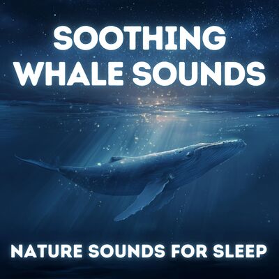 Soothing Whale Sounds - Nature Sounds for Deep Sleep