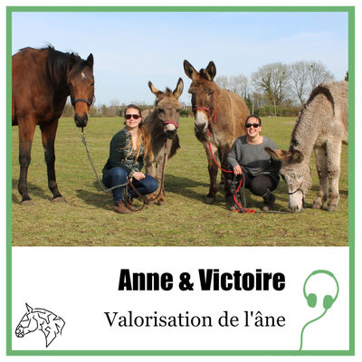Anne et Victoire : Anes, chevaux et relation Homme/Equidé - E09