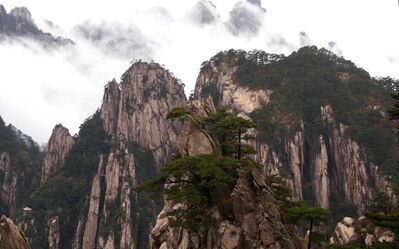 机神触事 应物而发