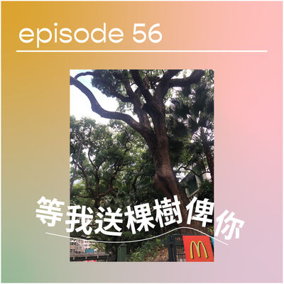 🌳 等我送棵樹俾你