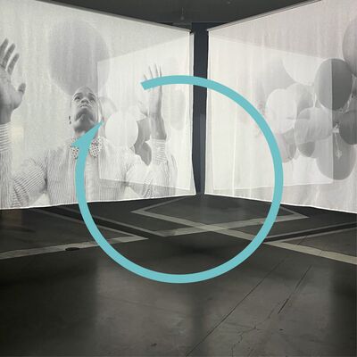 Vol. 105 对话项飙、戴锦华：附近是世界的解药吗？