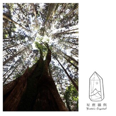 E03 靜心冥想｜真實渴望